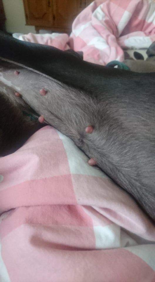 220343518_306556524556332_2195012728502793990_n