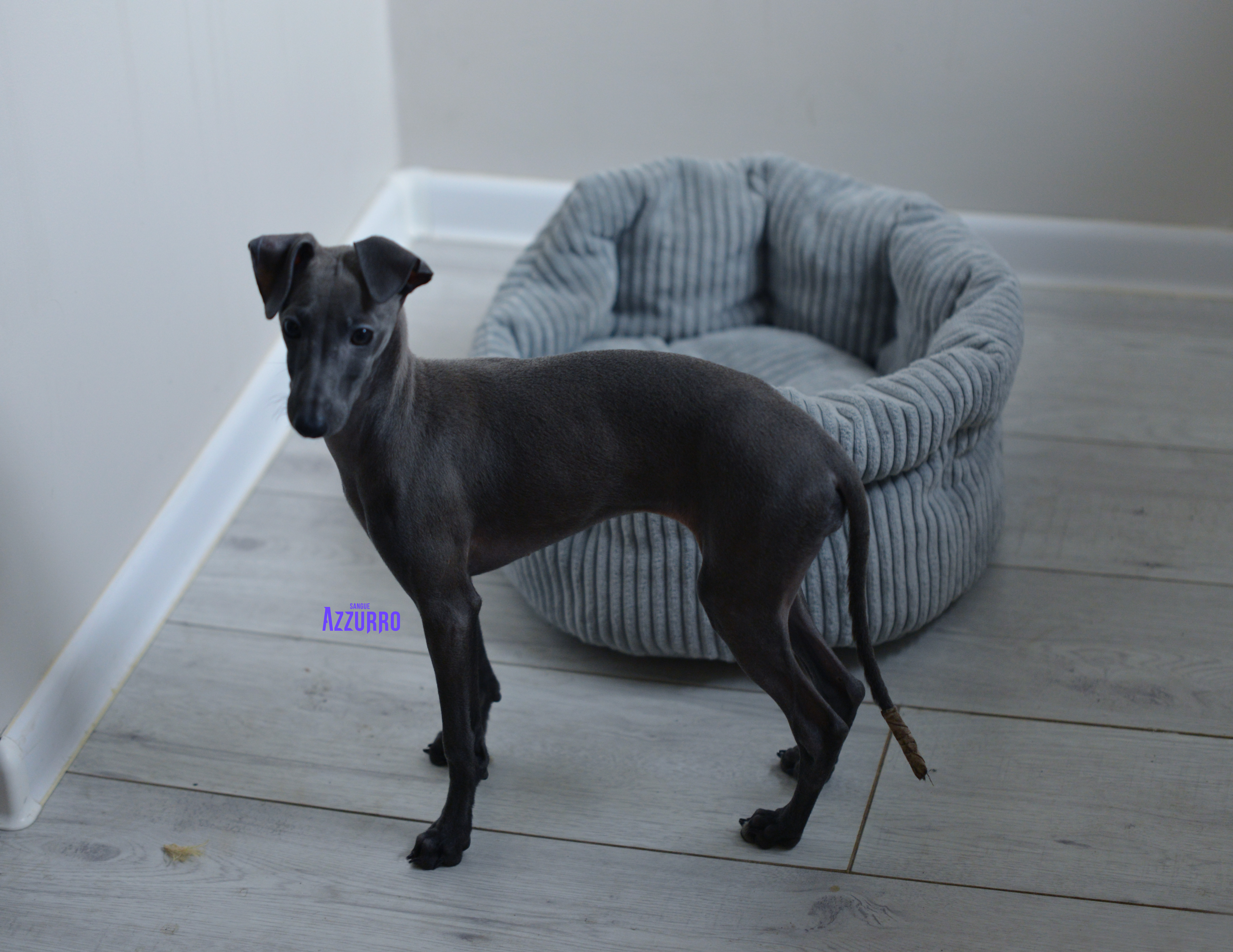 Bogina listopad2025_2