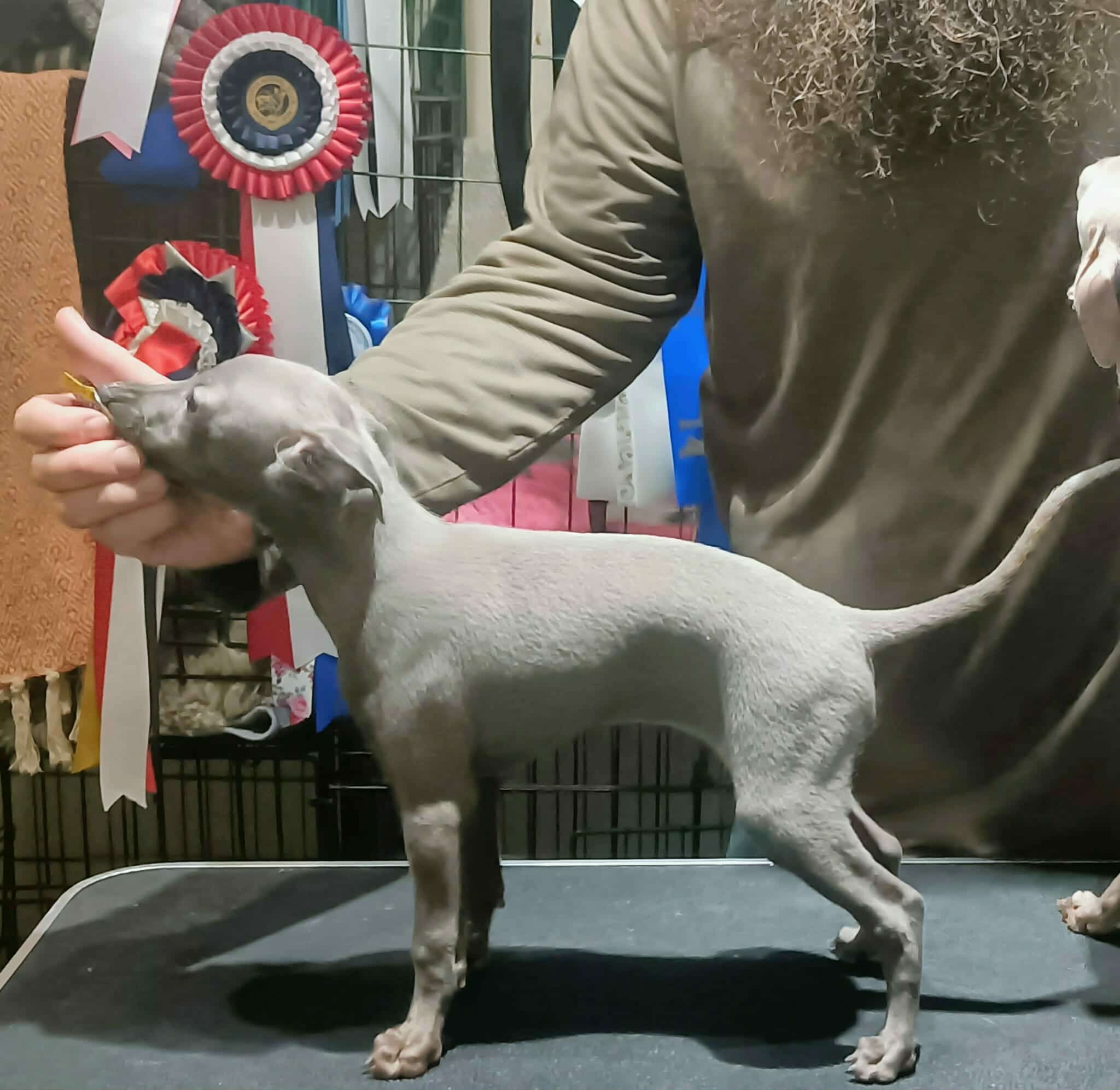 Messenger_creation_0B4B895E-2A82-4D0B-9654-4871403EA5FF