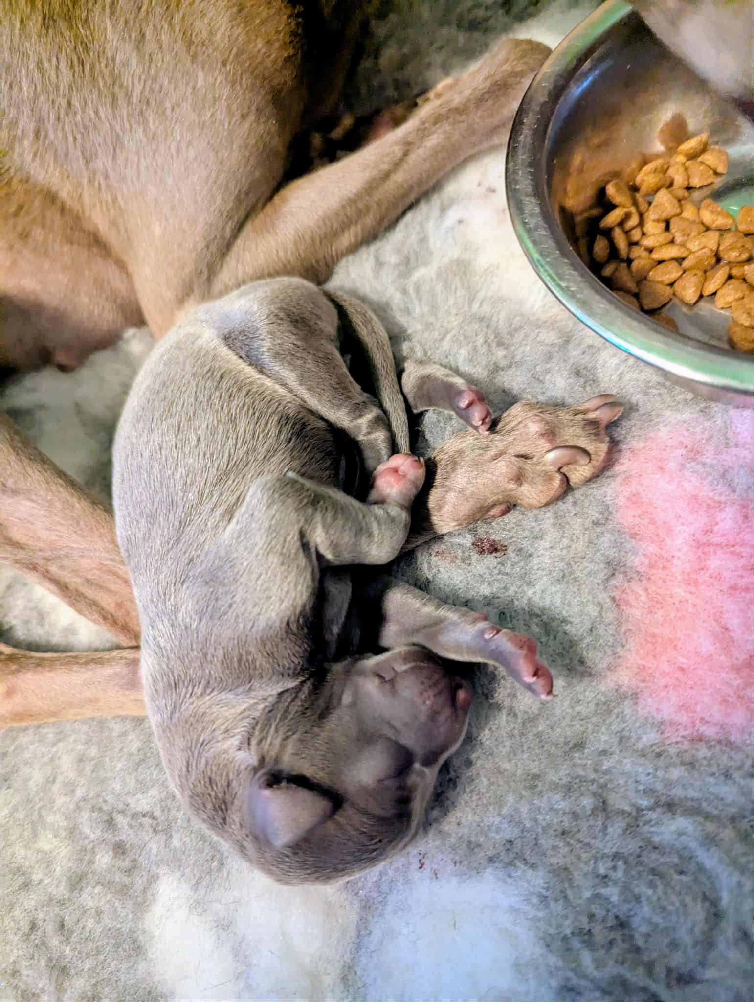 Messenger_creation_38A0531A-93FA-4840-8413-96305116C735