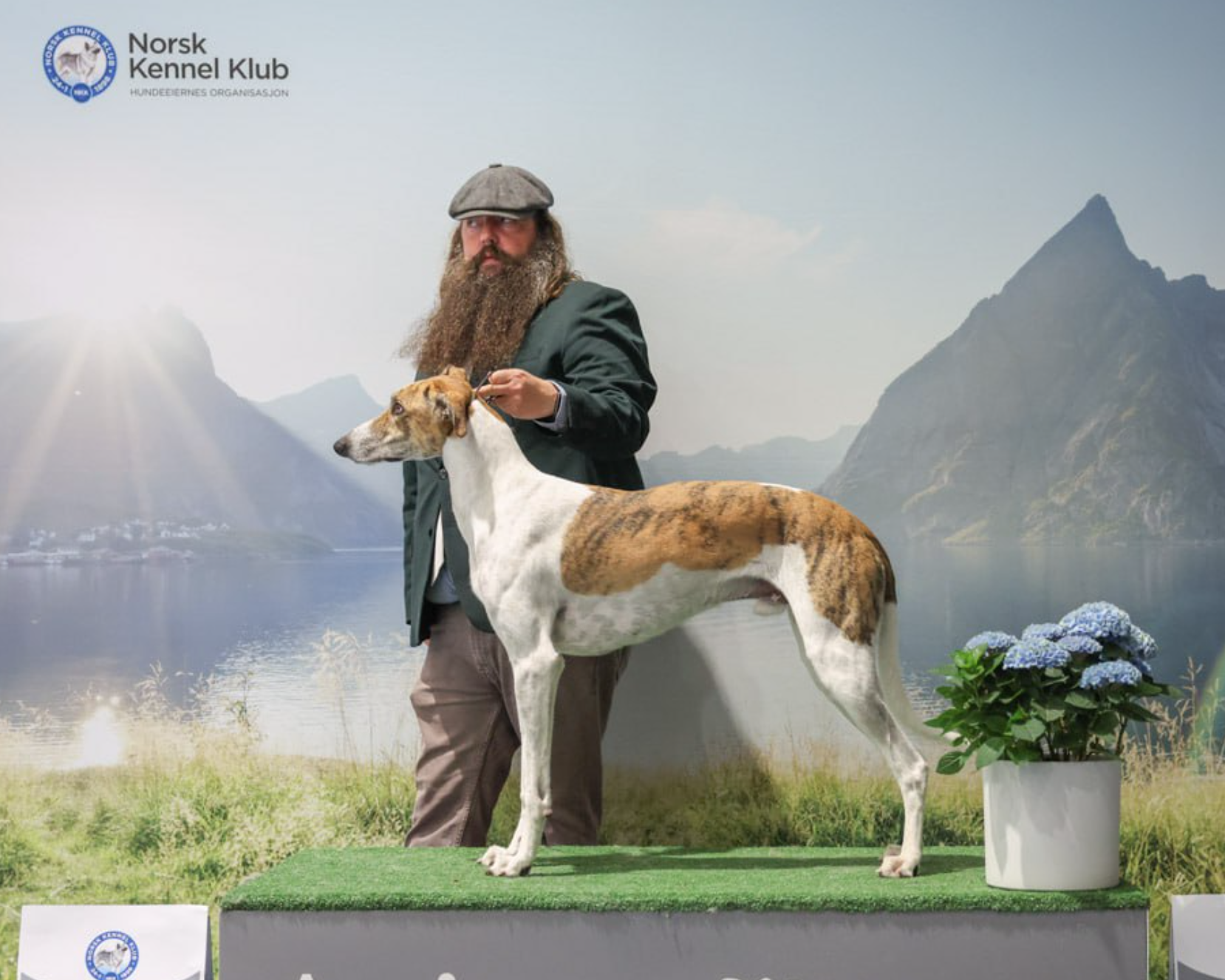 Zrzut ekranu 2026-01-27 o 19.32.39