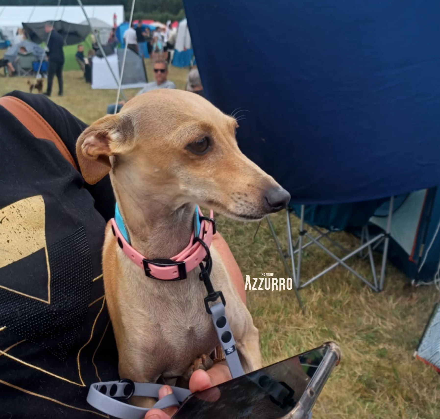 Zrzut ekranu 2025-07-19 o 21.21.52_1