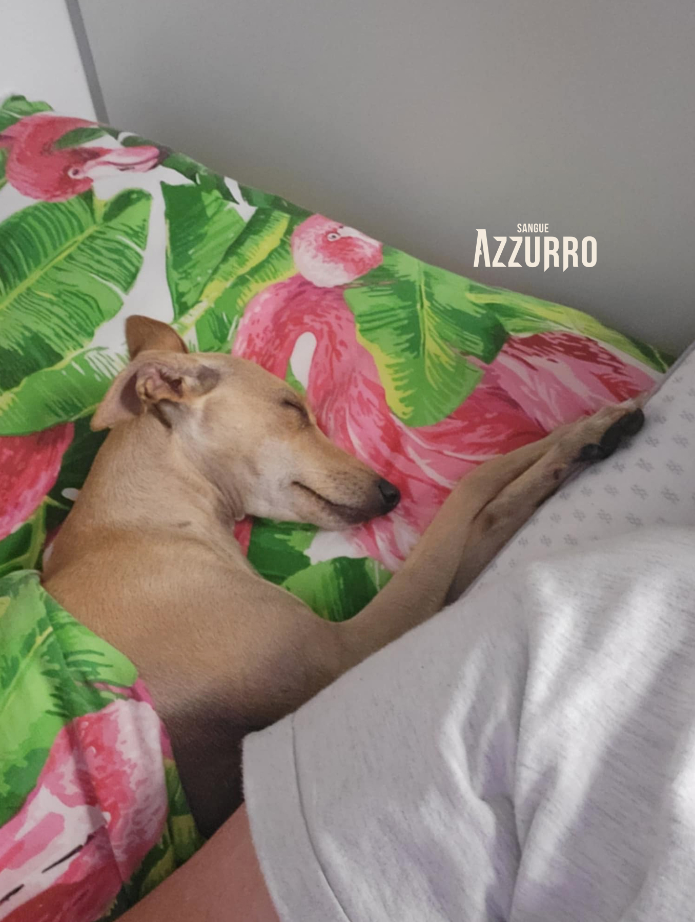 Zrzut ekranu 2025-07-19 o 21.22.09