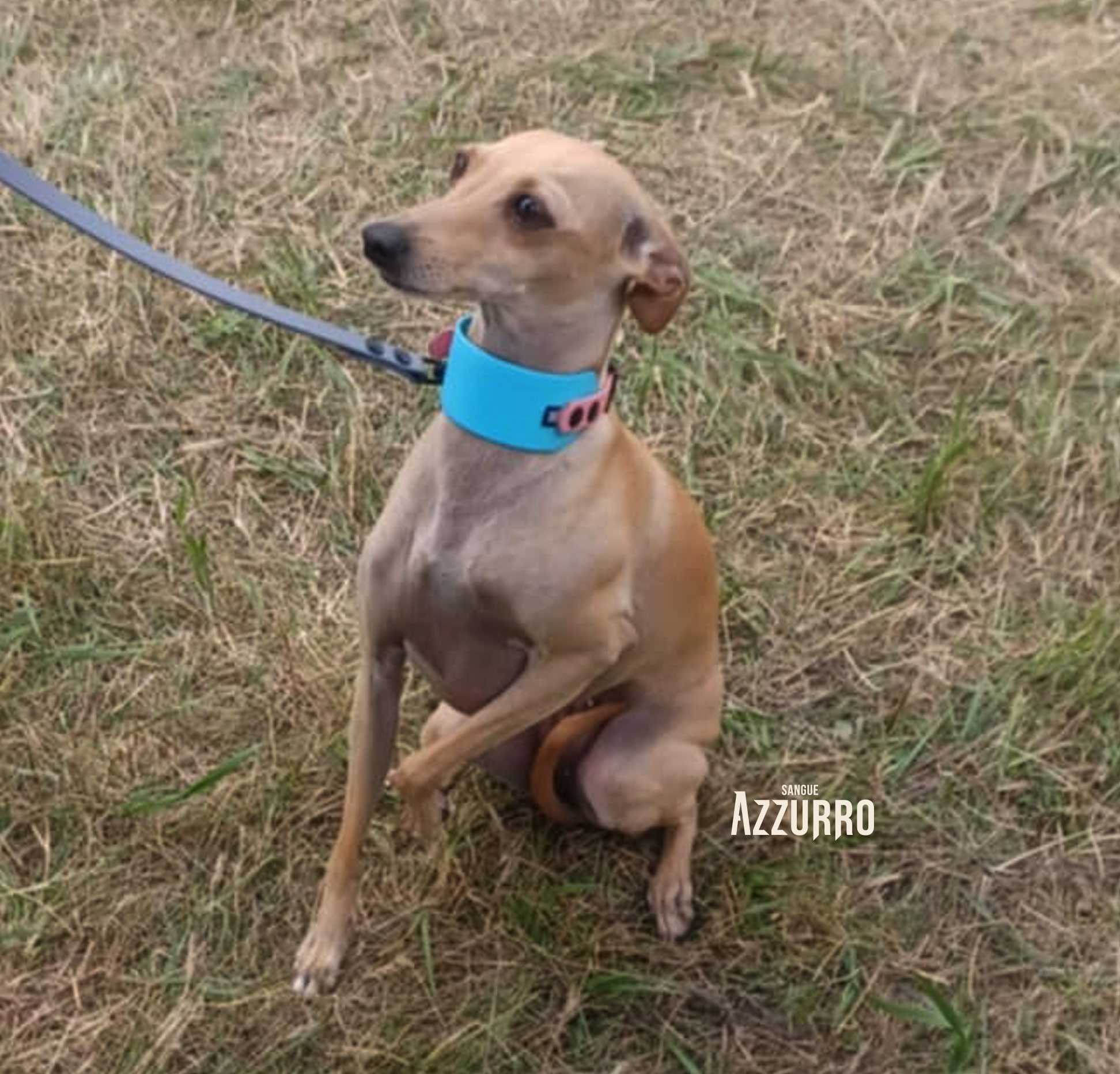 Zrzut ekranu 2025-07-19 o 21.22.51_1