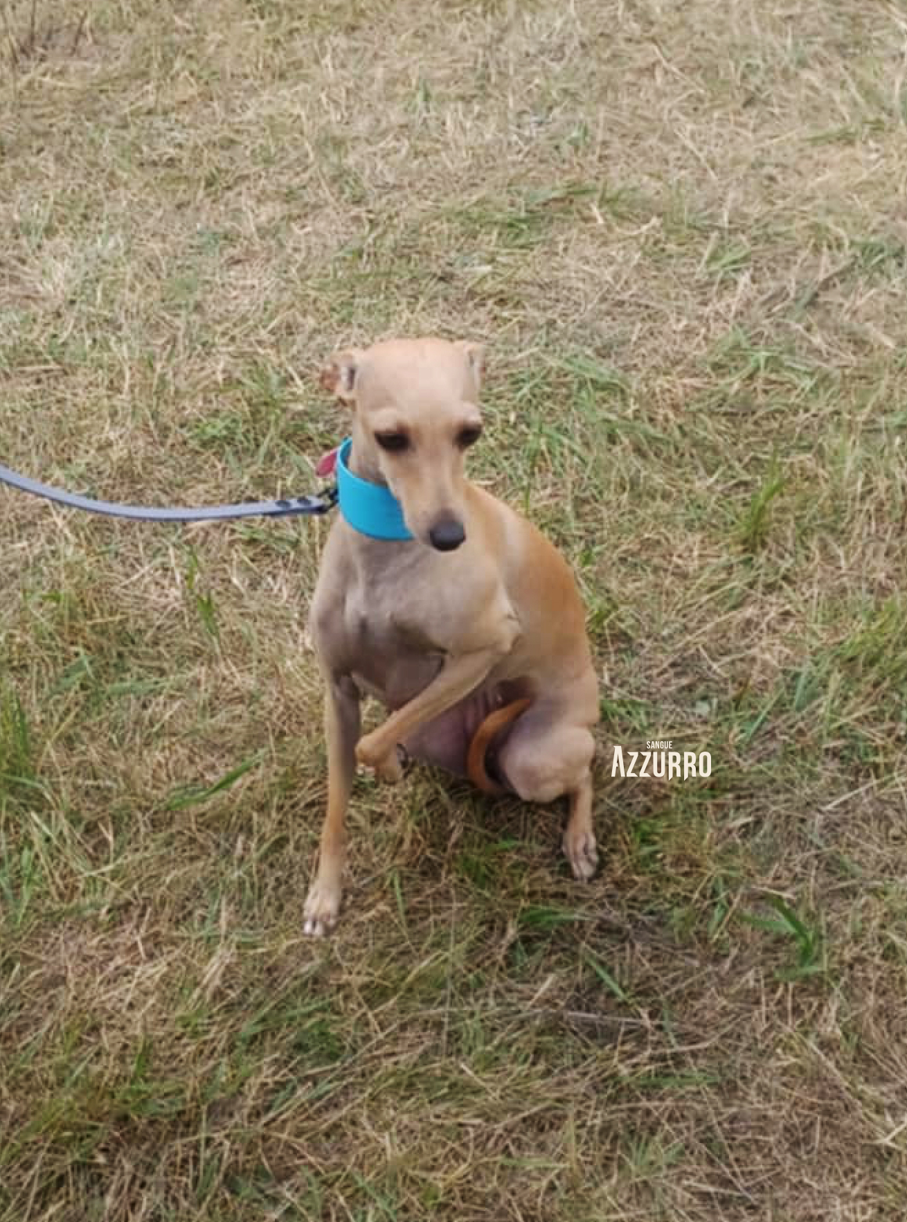 Zrzut ekranu 2025-07-19 o 21.23.10_1