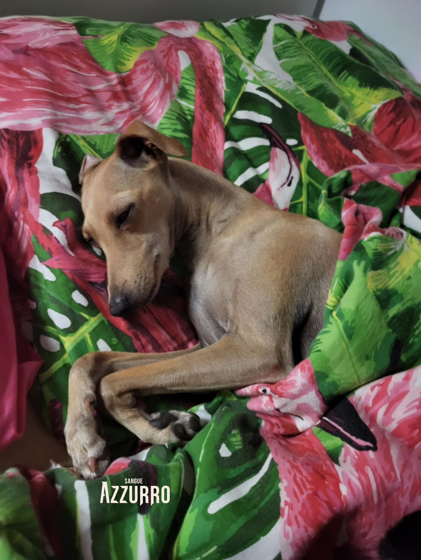 Zrzut ekranu 2025-07-19 o 21.23.31