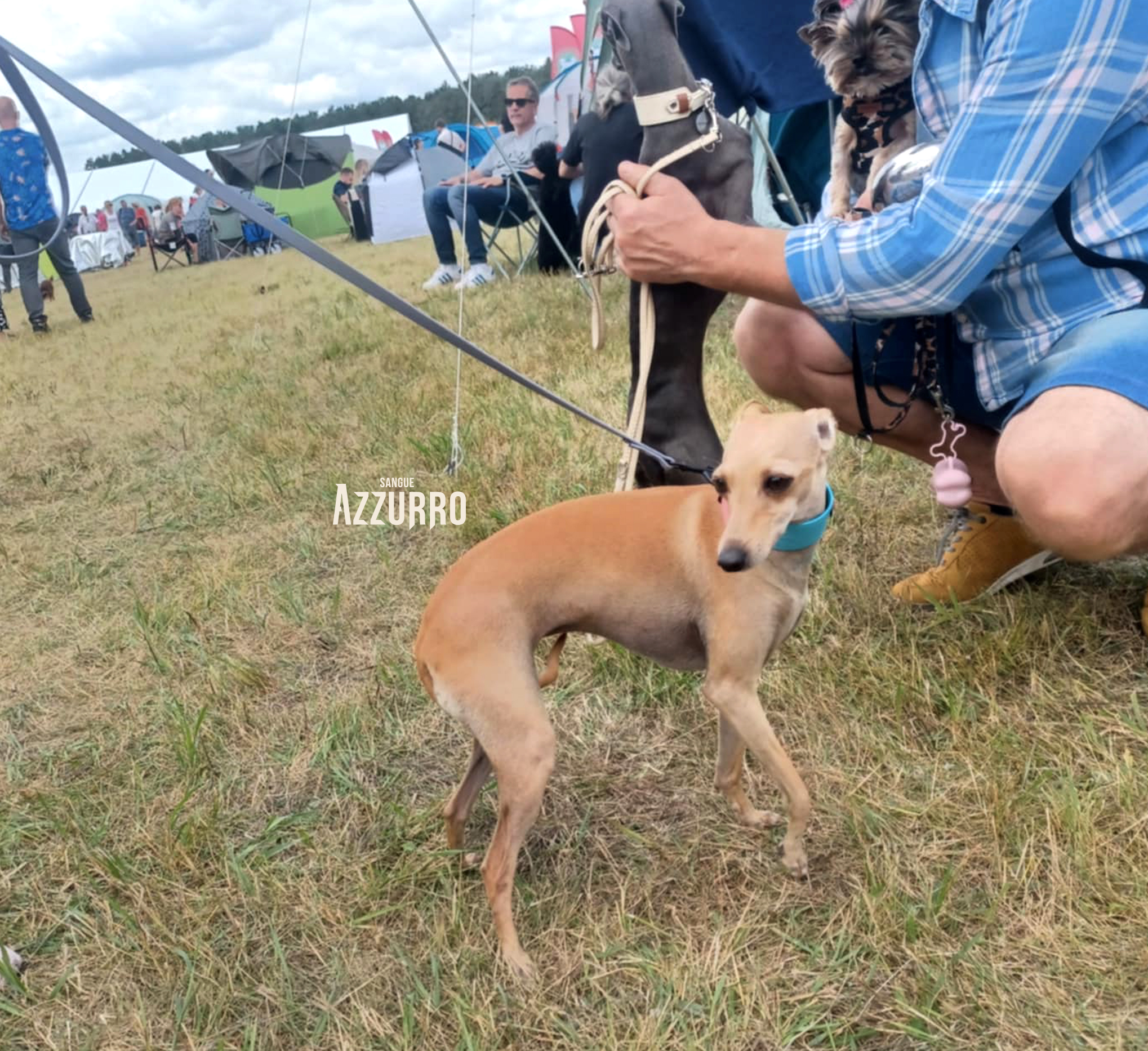 Zrzut ekranu 2025-07-19 o 21.24.02_1