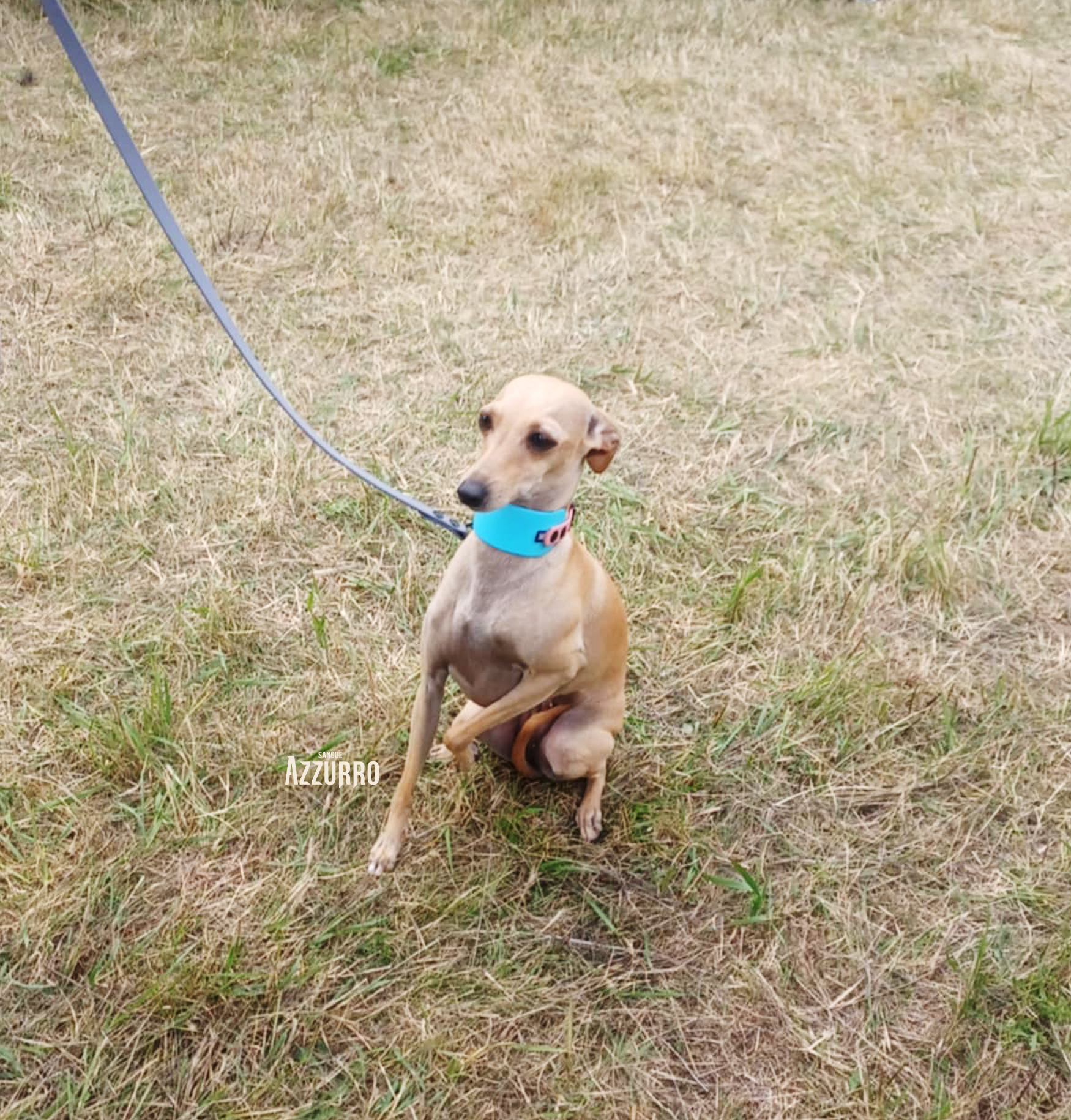 Zrzut ekranu 2025-07-19 o 21.24.27_1