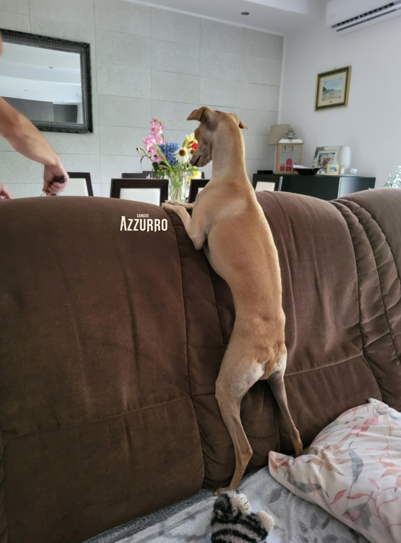 Zrzut ekranu 2025-07-19 o 21.24.55_1