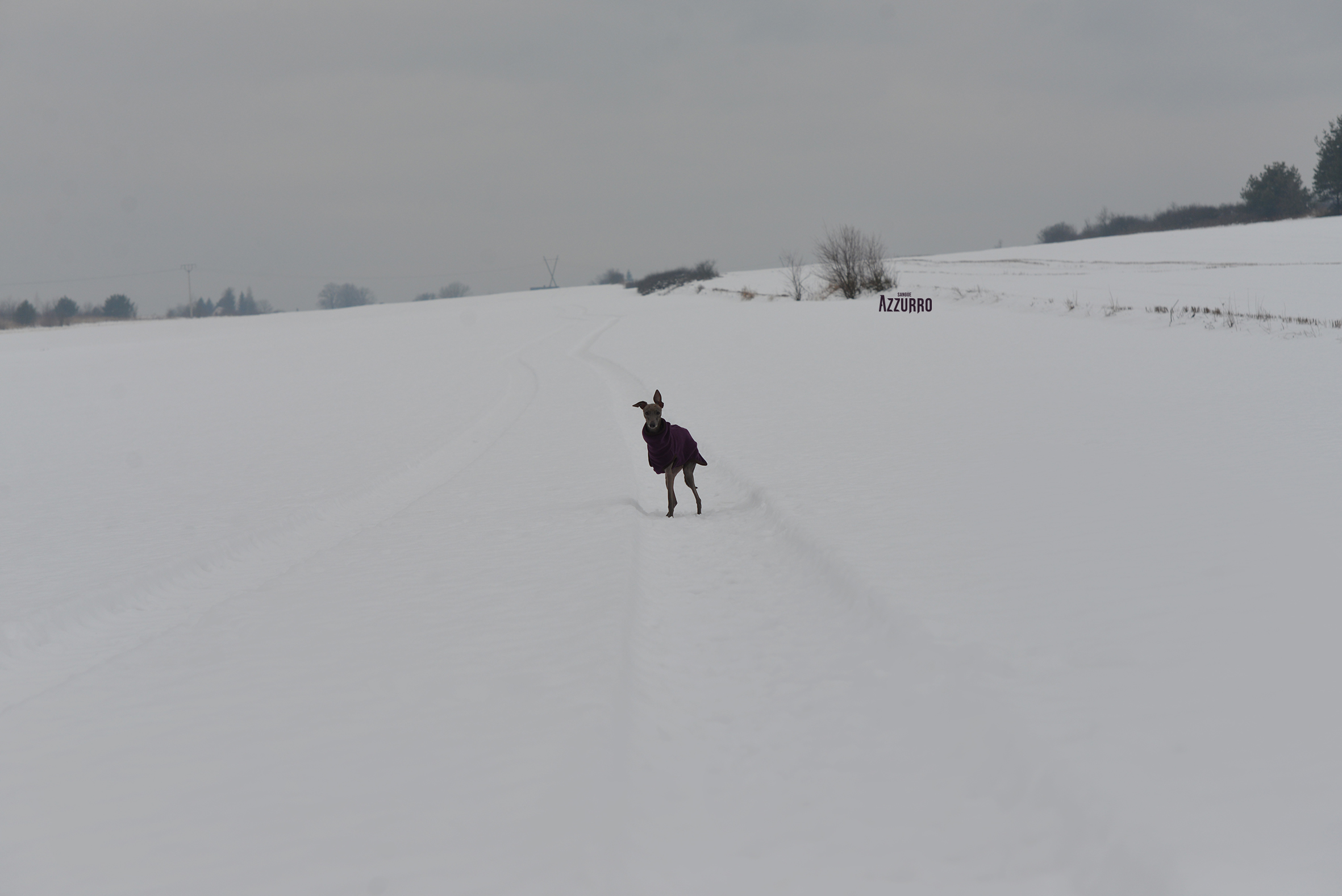 Tylko ja i Wlodziu_na www copy