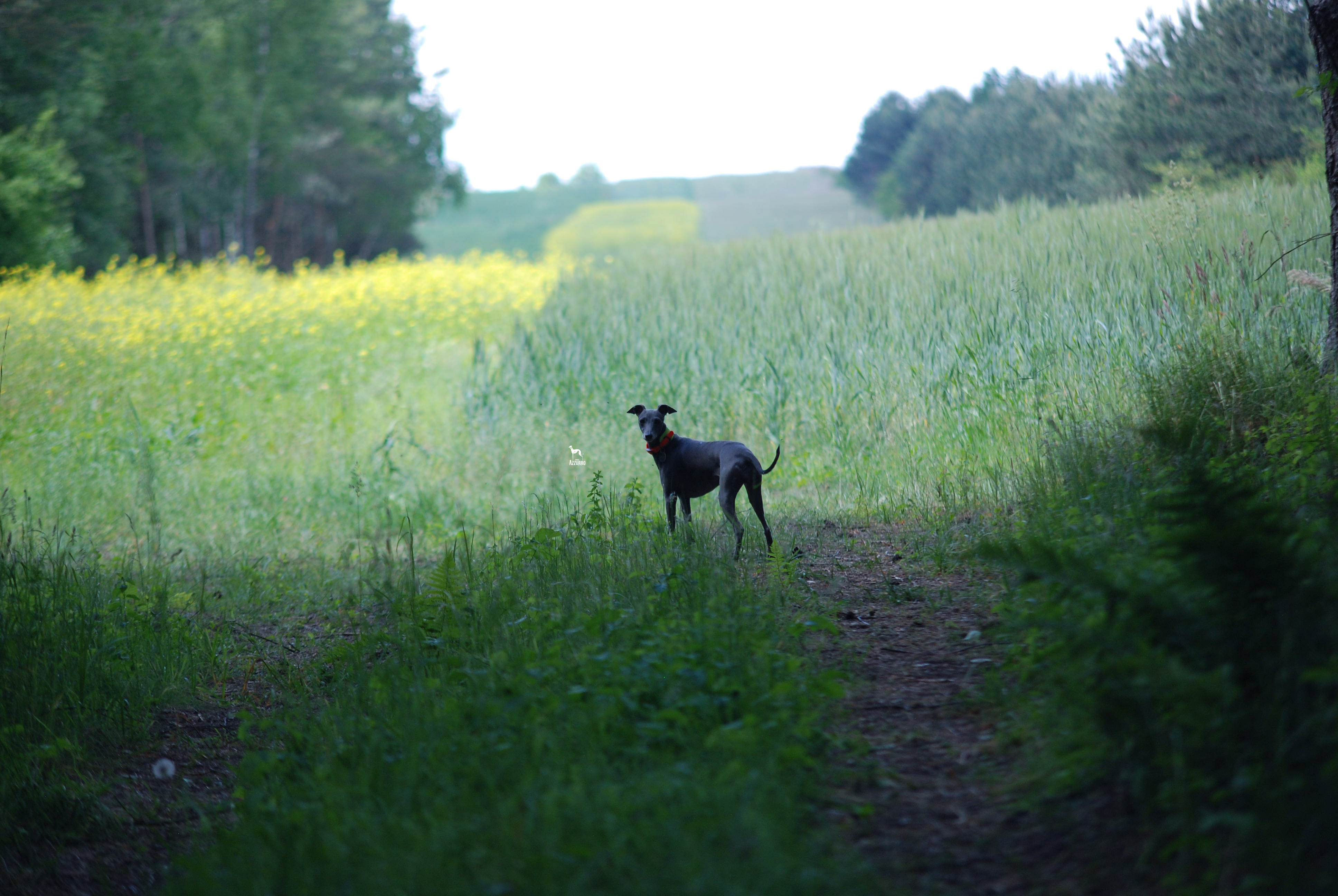 Xulia czerwic 2023_0299