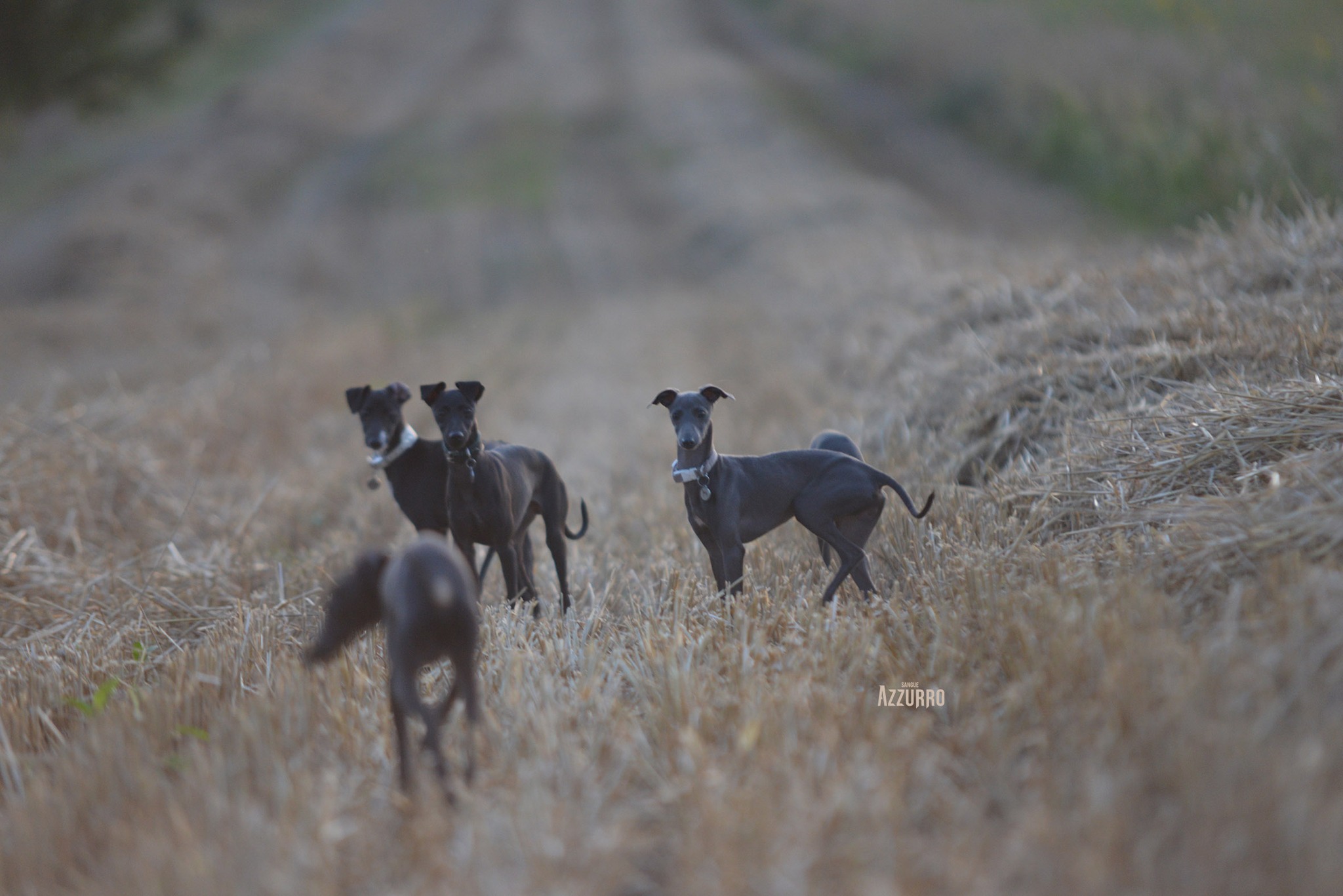 546415158_24665187533143574_2913179808301672015_n