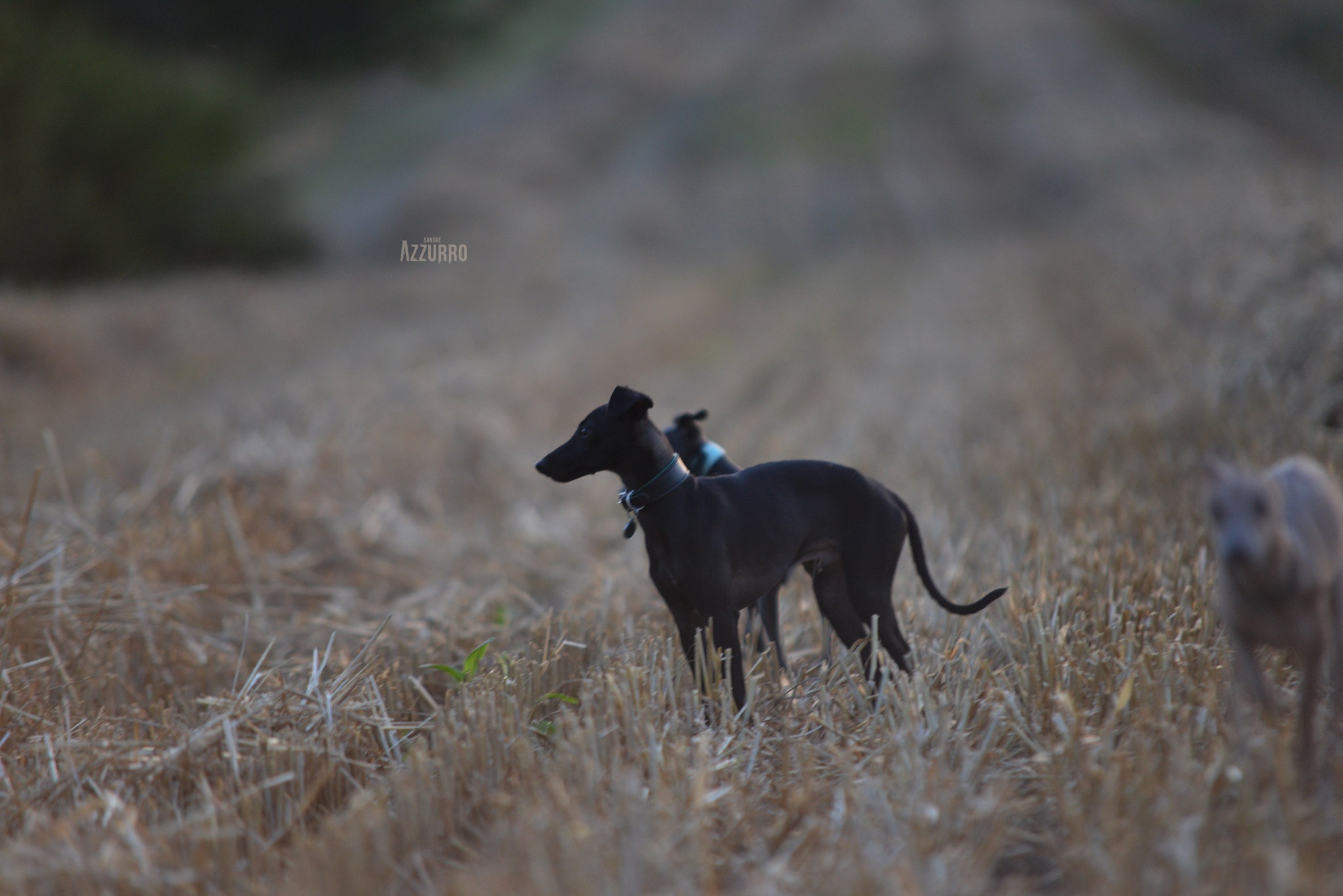 546623712_24665182719810722_5594847473278352973_n