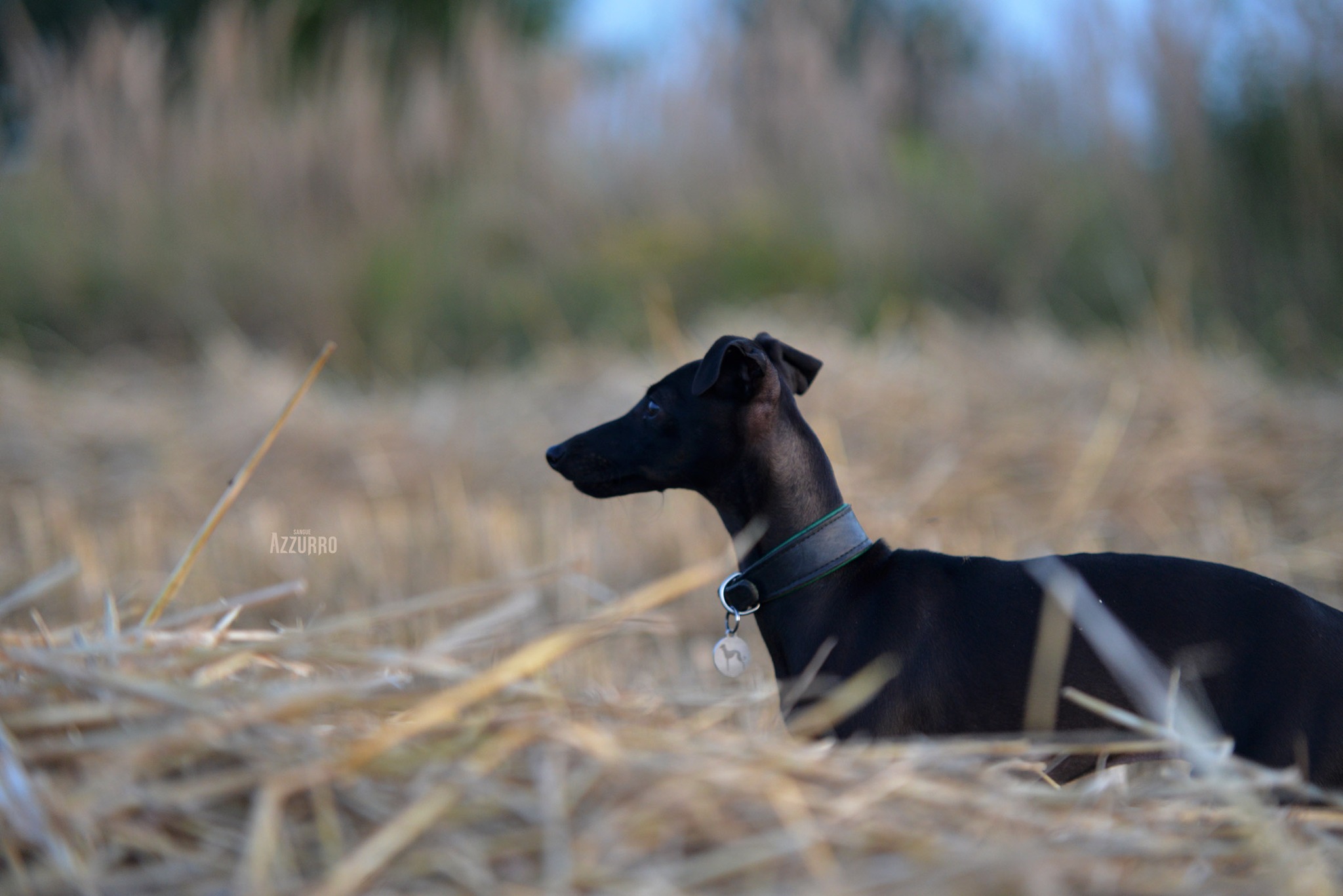 547510101_24665183723143955_8896624181255280558_n