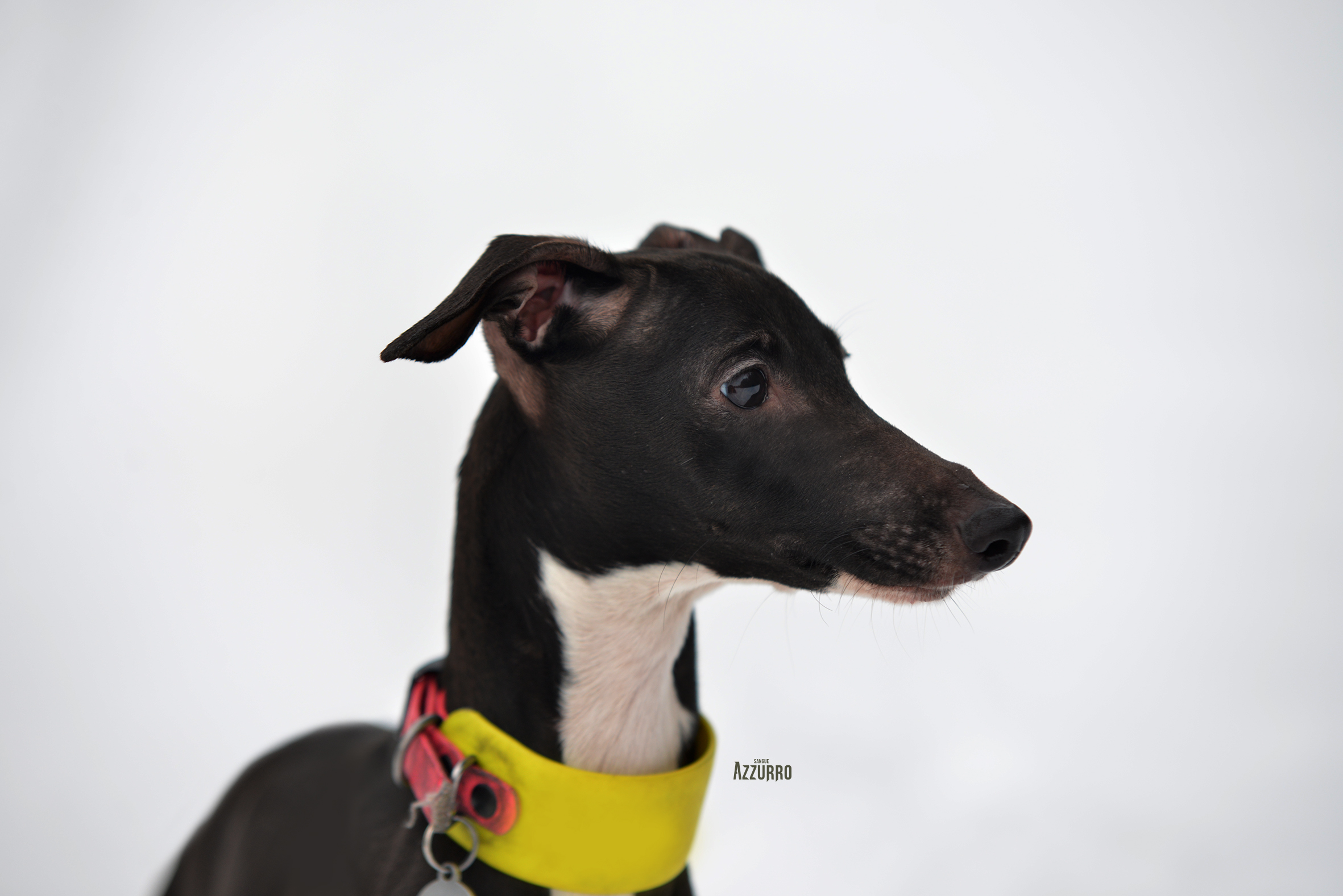 Kosmo2_luty 2026 copy