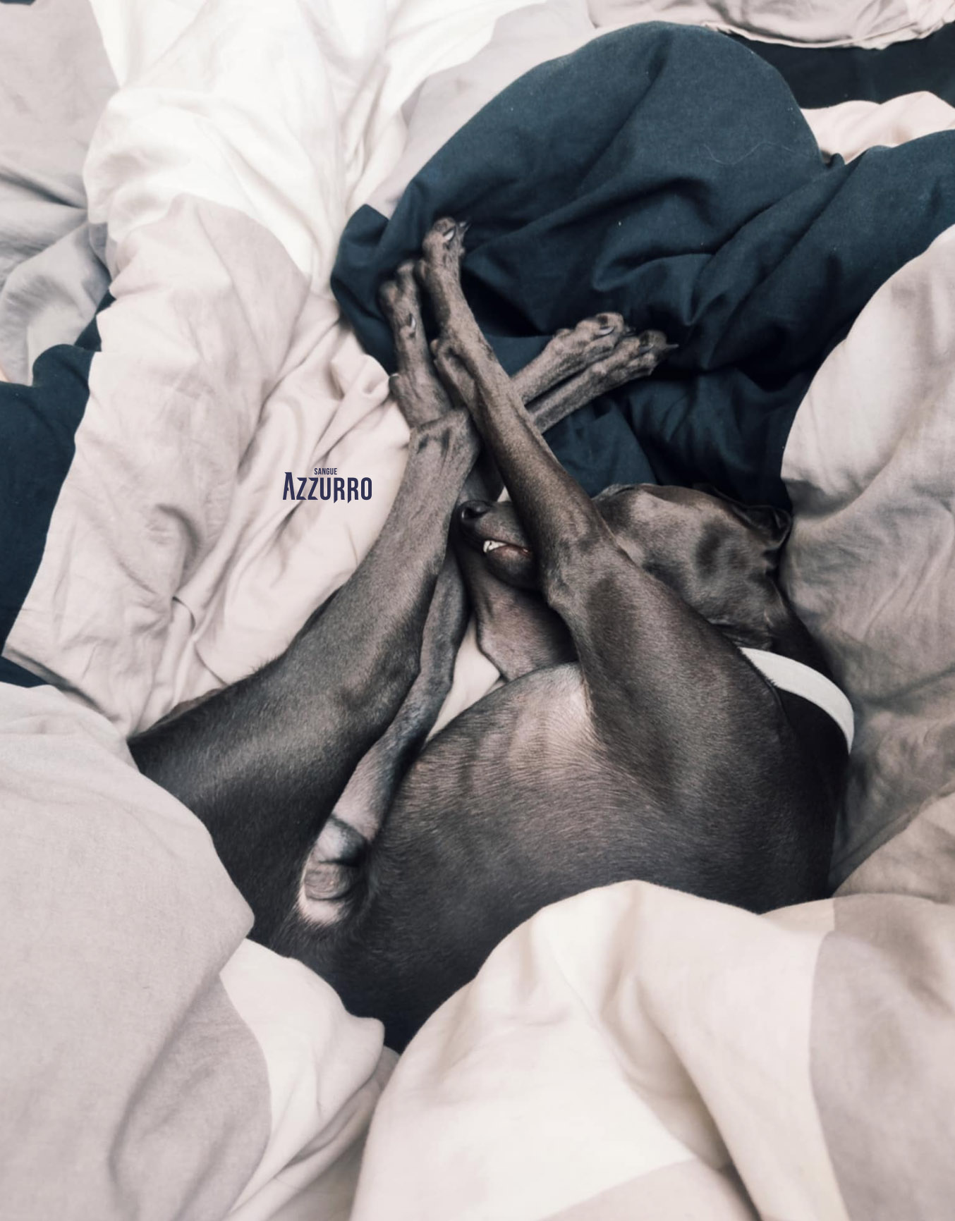 Zrzut ekranu 2025-08-10 o 22.39.29